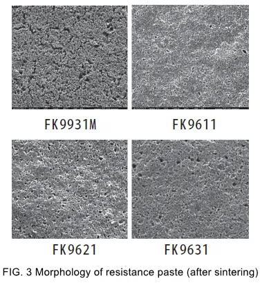 FIG. 3 Morphology of resistance paste (after sintering)